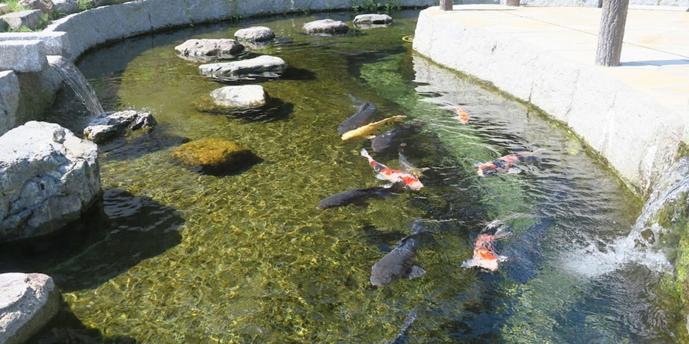 ラシーヌホーム 針江 滋賀