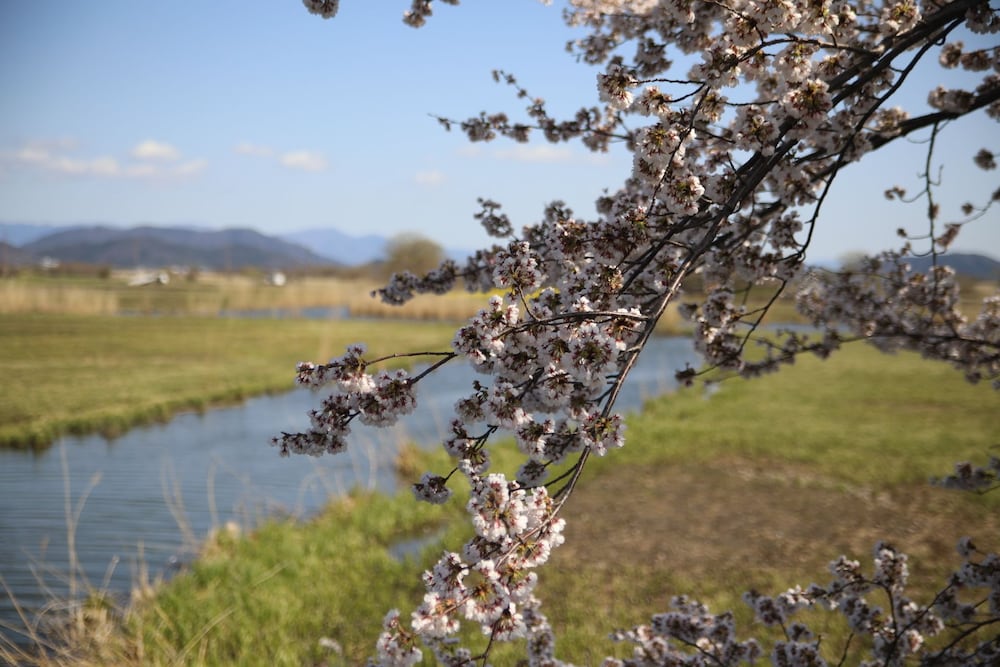 ステイ 近江八幡 駅前イン 滋賀