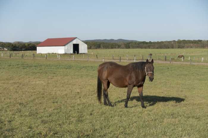 ノースゲートイン アビラ ルスツ