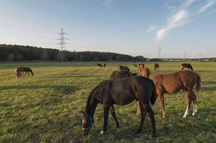 ノースゲートイン アビラ ルスツ