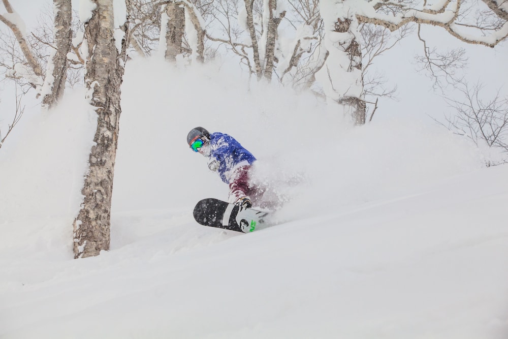 スノードッグビレッジ ニセコ町