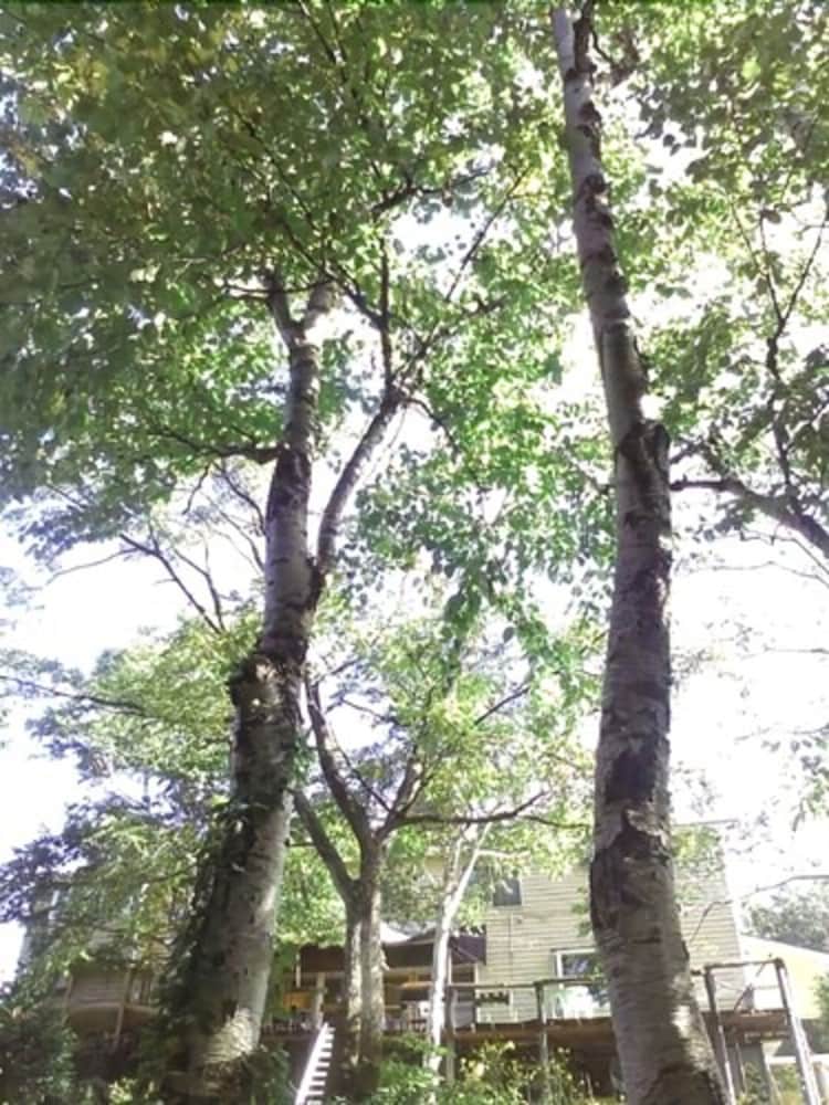 NISEKO 塒 (ねぐら) ニセコ町
