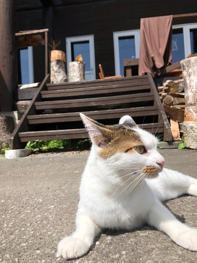 ノートラック ニセコ町