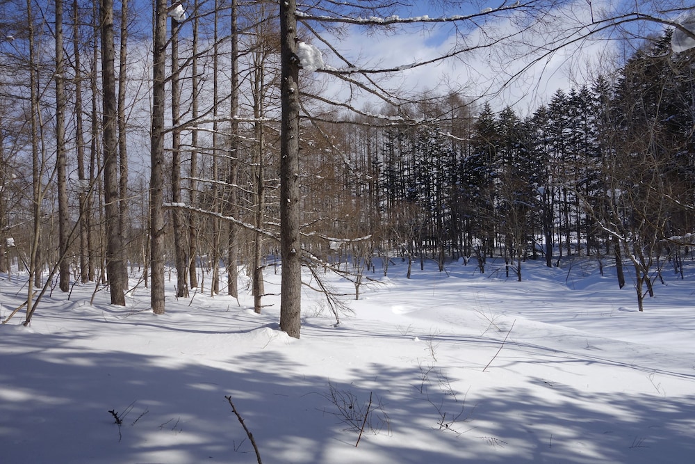 MIRU NISEKO ニセコ町