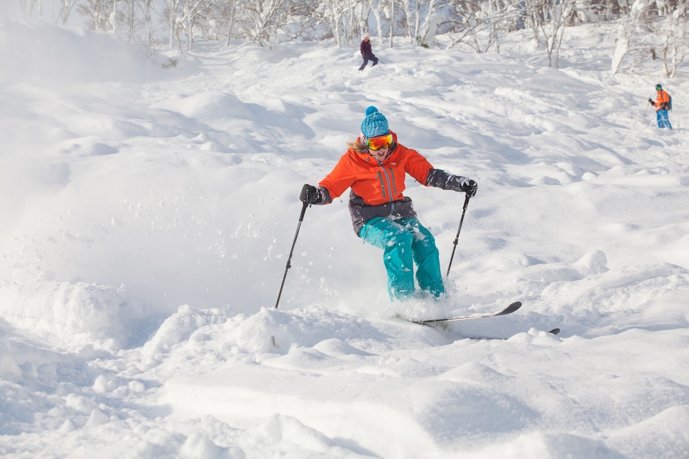 雪山 ニセコ町