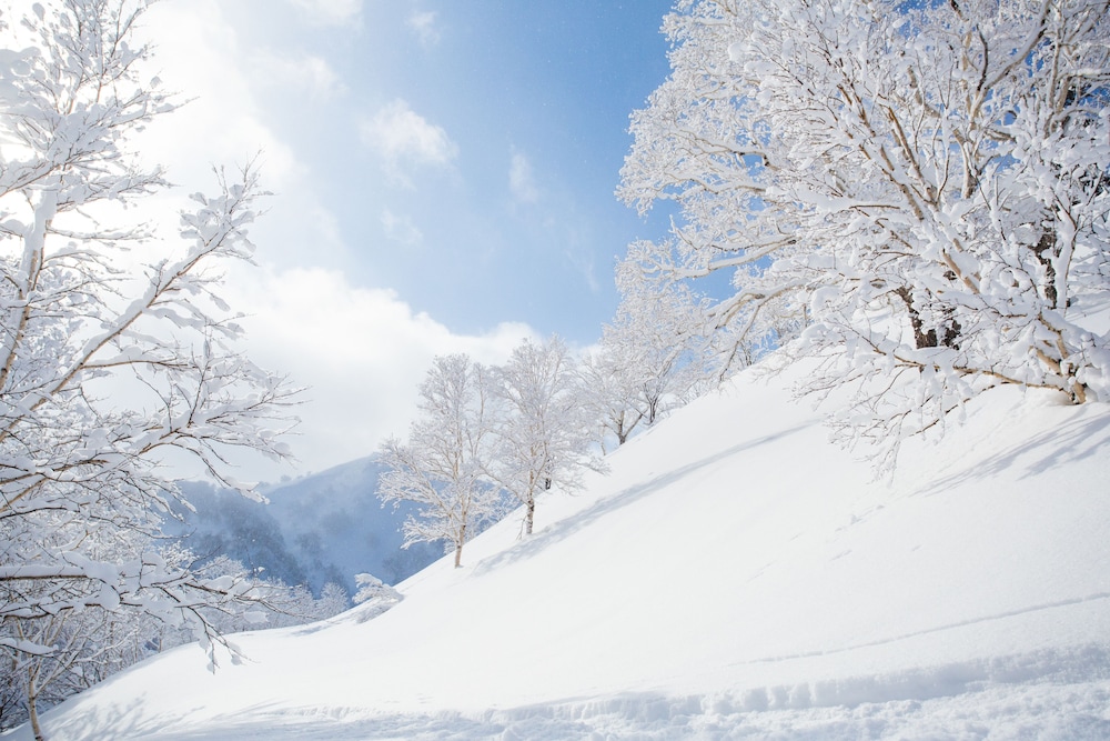 HOLIDAY NISEKO スノーバード ニセコ町