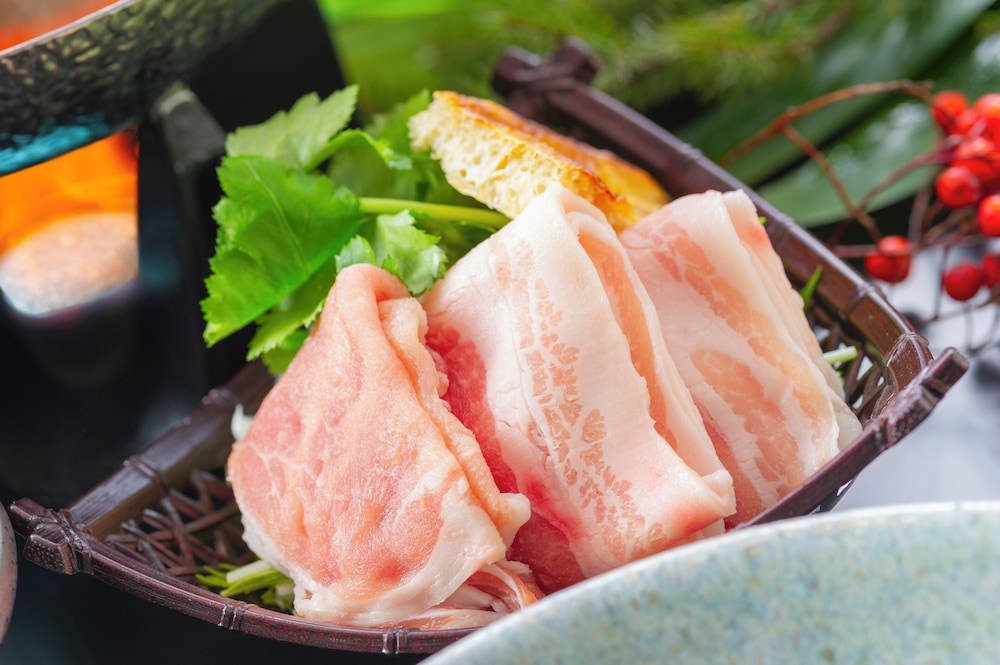 ニセコ温泉郷 いこいの湯宿 いろは ニセコ町