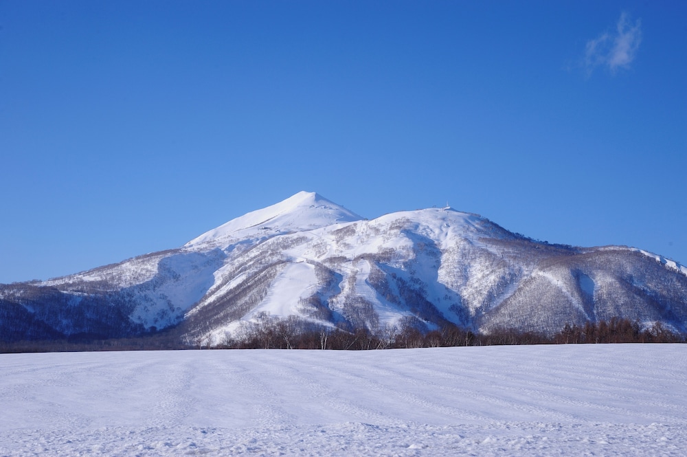 ニセコ羊蹄の宿 楽 水山 ニセコ町