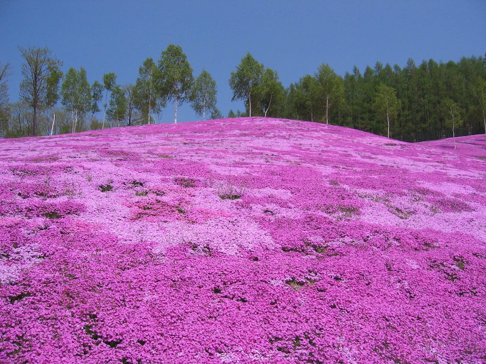 たきのうえホテル渓谷 ニセコ町