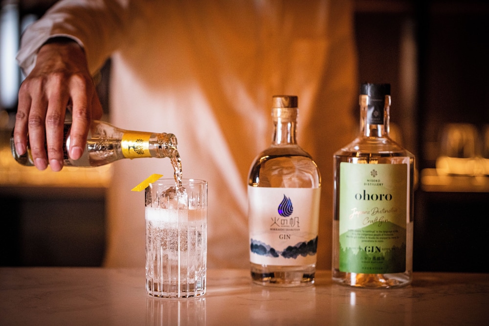 ANDARU COLLECTION NISEKO ニセコ町
