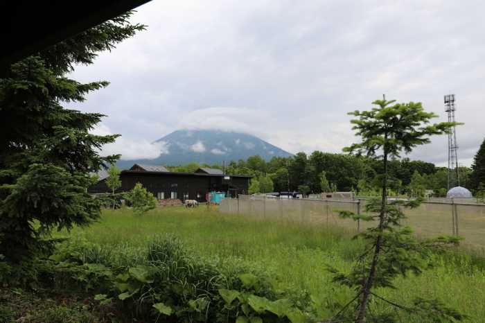 HDO ヒラフ パウダーコテージ ニセコ町