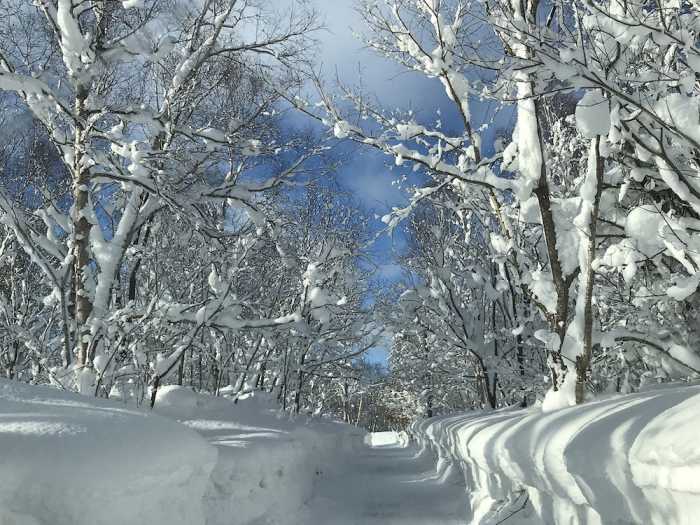 CASA BELL NISEKO ニセコ町