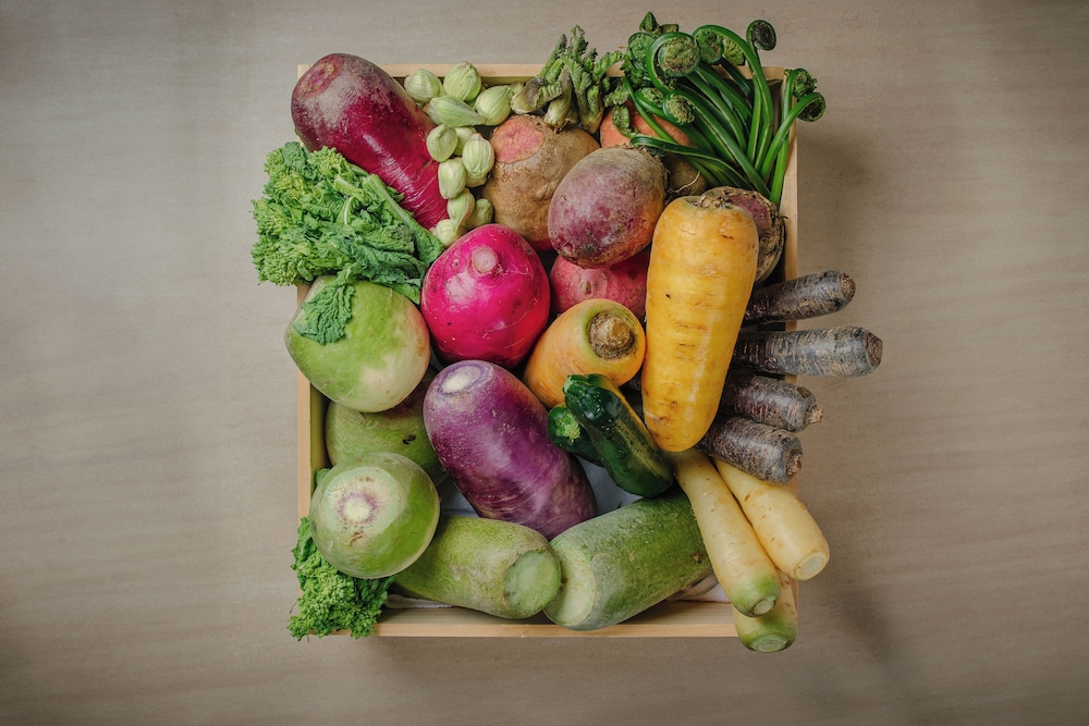 トリフィート ホテル & ポッド ニセコ ニセコ町