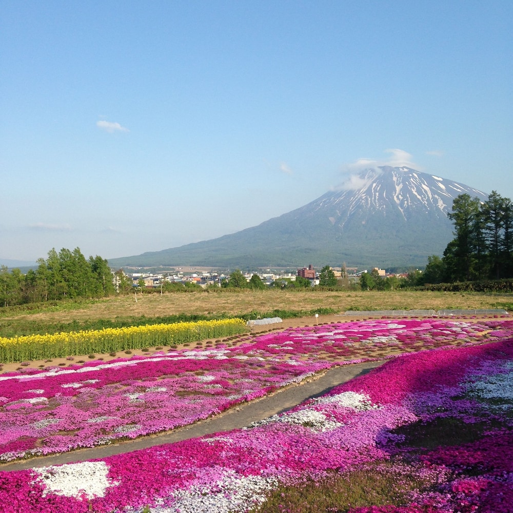 ニセコ カシノヤ ニセコ町