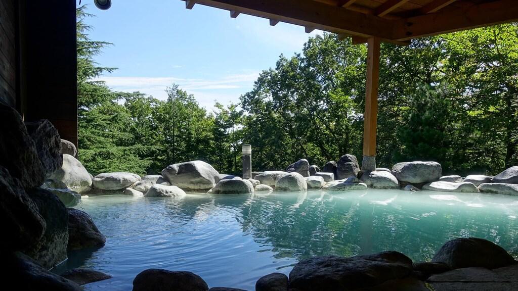 フォートリート+那須高原 （旧 那須高原ホテルビューパレス） 那須