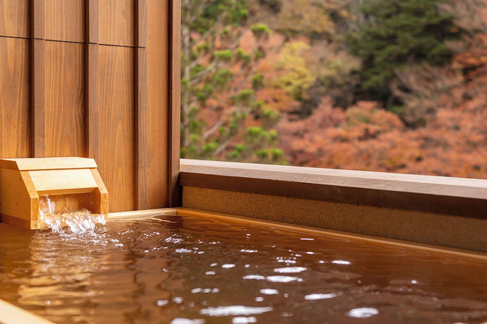 塩の湯温泉 蓮月 那須