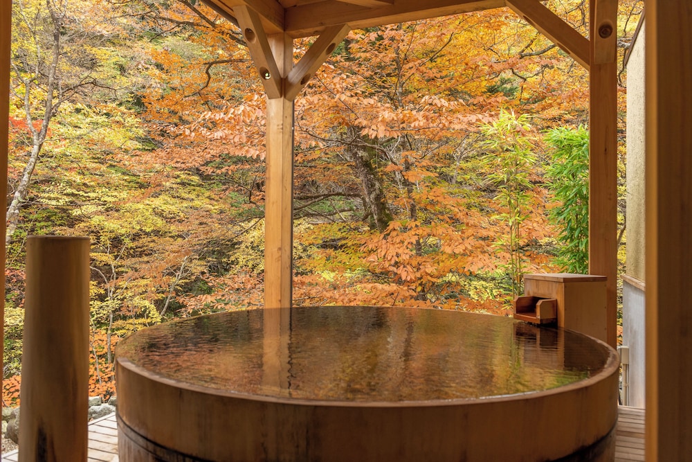 塩の湯温泉 蓮月 那須