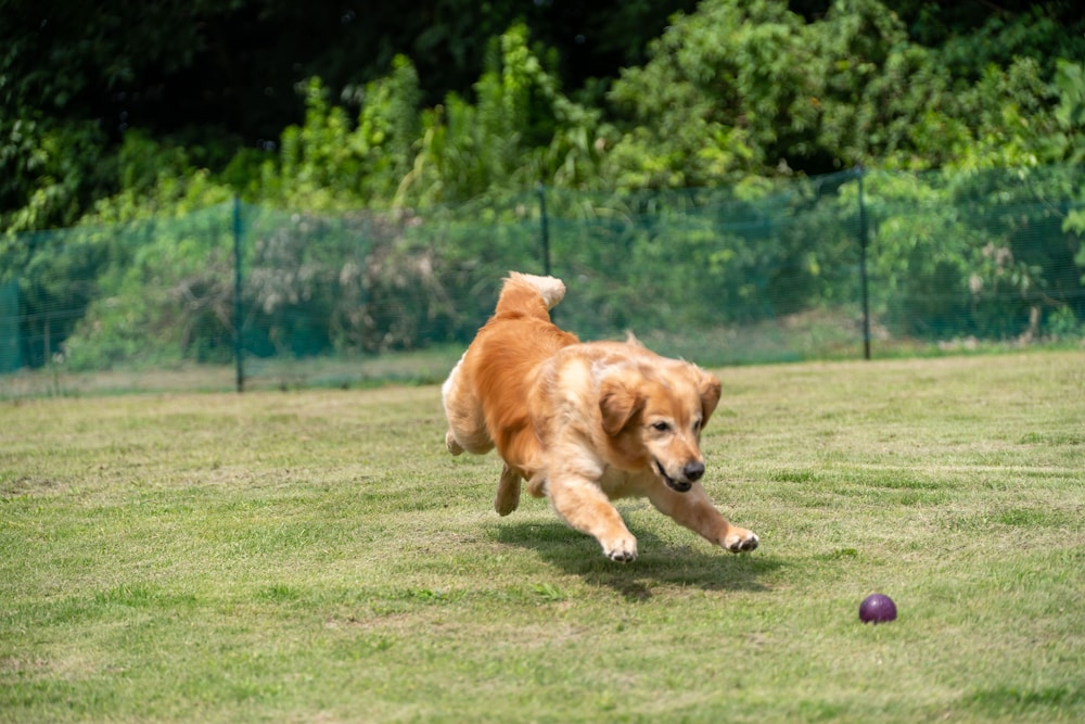 亀の井ホテル 喜連川 那須