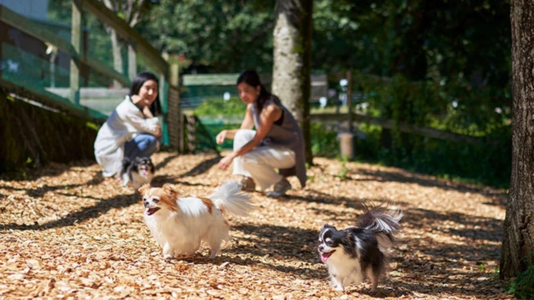 リブマックスリゾート那須高原 那須