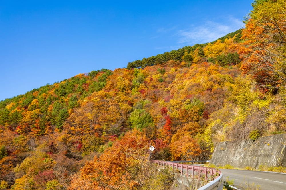 ほったらかしの宿 ゆうふり那須高雄温泉ロッジ 那須