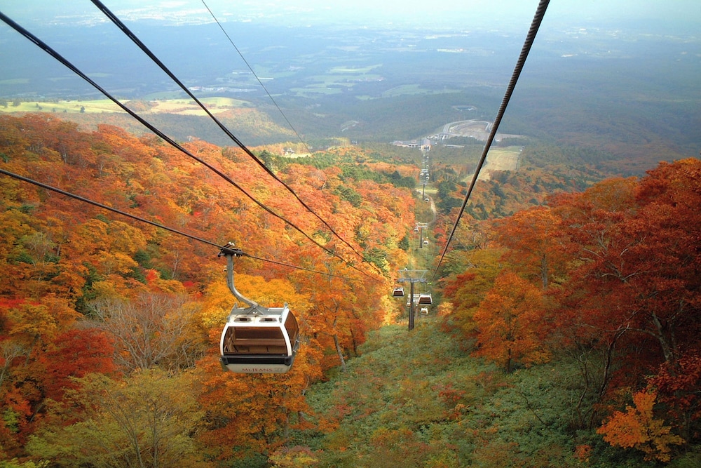ほったらかしの宿 ゆうふり那須高雄温泉ロッジ 那須