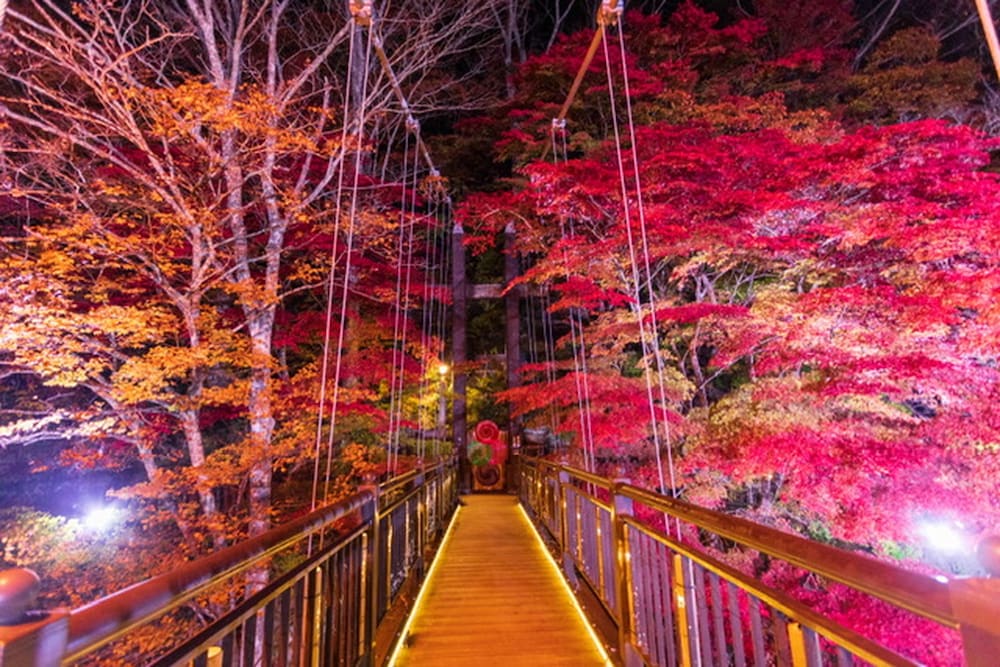 ほったらかしの宿 ゆうふり那須高雄温泉ロッジ 那須