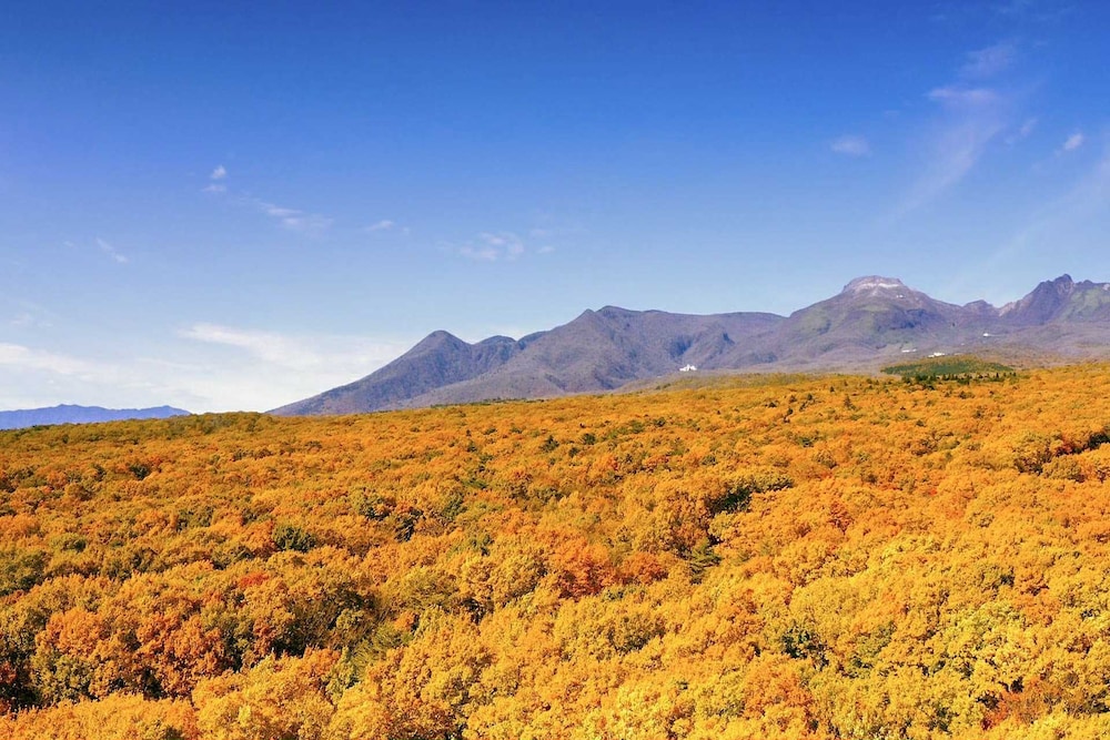 ほったらかしの宿 ゆうふり那須高雄温泉ロッジ 那須