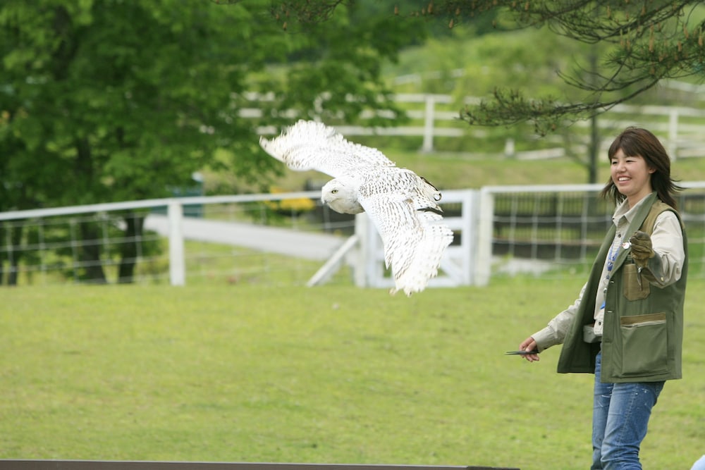 ほったらかしの宿 ゆうふり那須高雄温泉ロッジ 那須