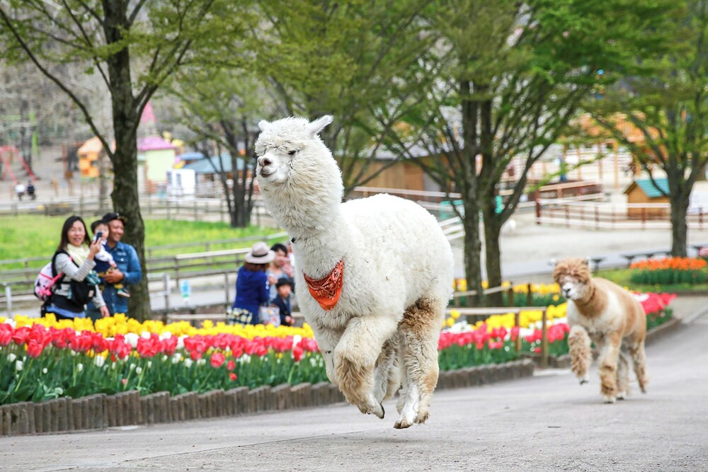 ほったらかしの宿 ゆうふり那須高雄温泉ロッジ 那須