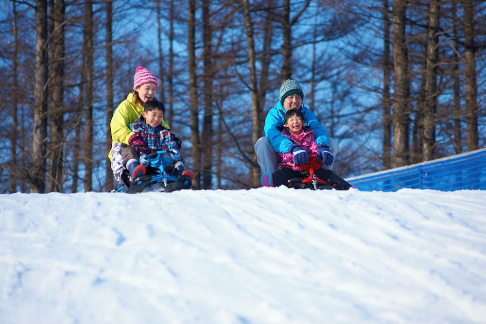 ほったらかしの宿 ゆうふり那須高雄温泉ロッジ 那須